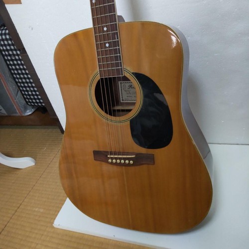 Guitare acoustique pro martin - acoustique,
