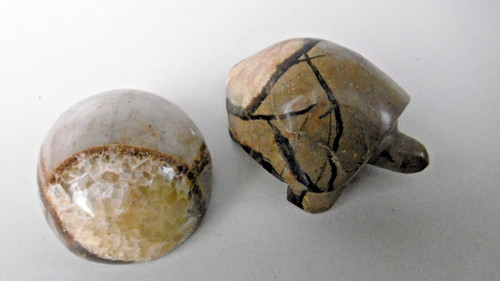 Oeuf tortue pierre - oeuf,