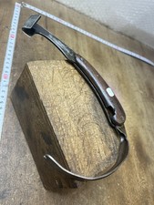 Rainette marquage Forestier