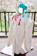 Hatsune Miku Snow Miku 2013