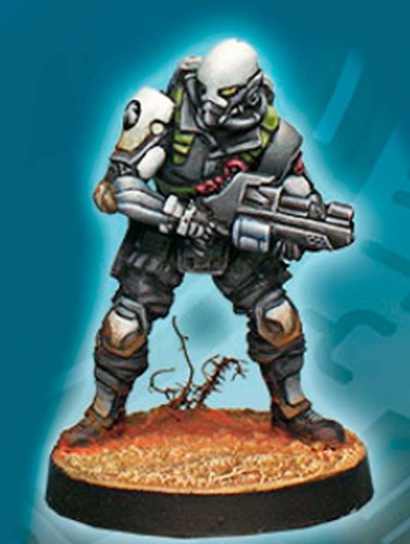 Infinity kts kaplan adhl - pr,