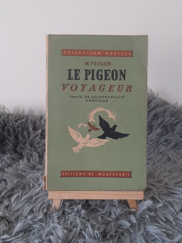 Pigeon voyageur m - /,