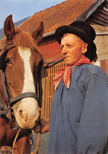 Gran costume normand - 50,