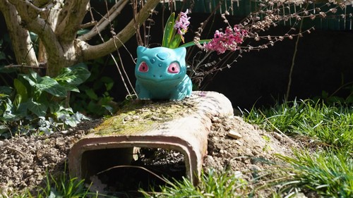 Pot fleur pokémon - pot,