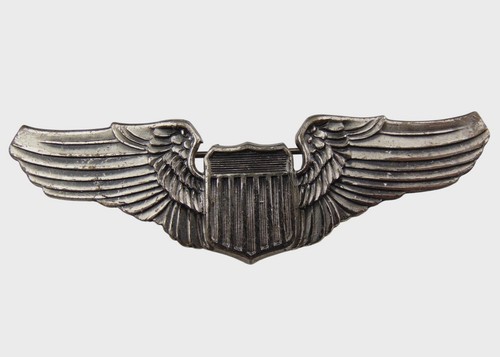 Brevet pilote pilot - de, «