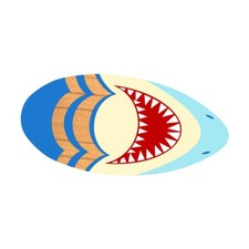 Planche surf skimboard - planche,
