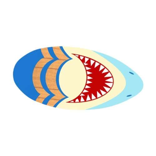 Planche surf skimboard - planche,
