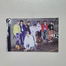 Album de cartes photo Stray