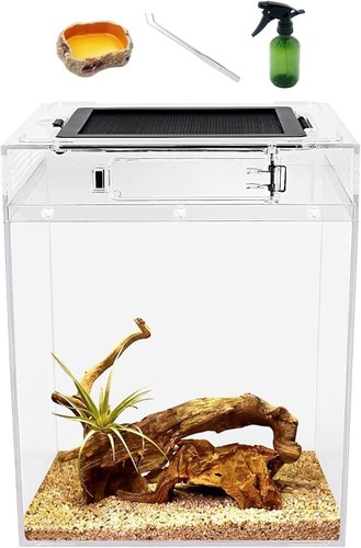 Reptile growth tall terrarium - growth,