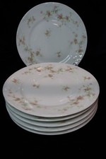 Theodore Haviland Limoges