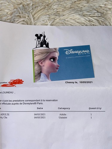 Billet disneyland paris - billet,