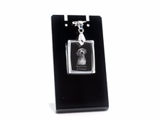 Basset Fauve De Bretagne