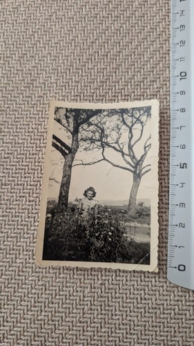Photo ancienne noir blanc - ancienne,