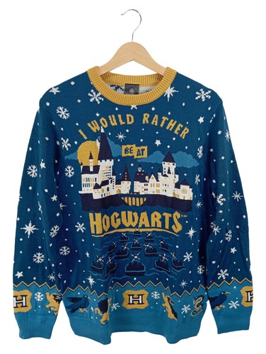 Harry potter pull homme - harry, bleu