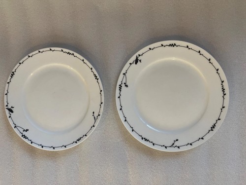 Two ciroa oiseau berry black - ciroa,