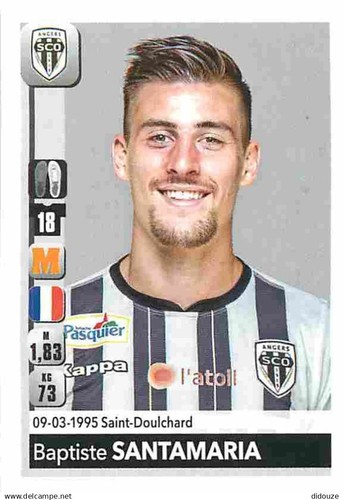 Stickers panini france foot - stickers,