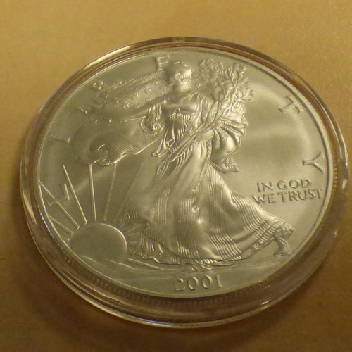 Silver eagle 2001 - silver,