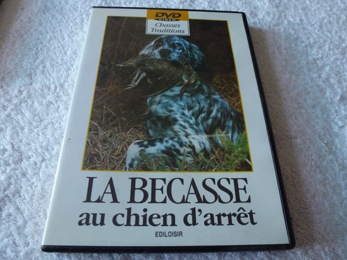 Becasse chien d arret - la,