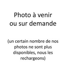 Une Page/Gravure de 1873 