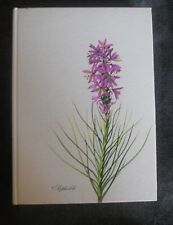 la femme infidèle - jules roy CLUB DE LA FEMME 1962