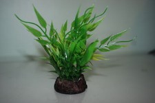 Plante En Plastique Style