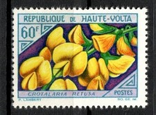 Timbre / STAMP  Colonie