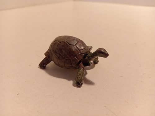 Britains tortue terrestre - p,