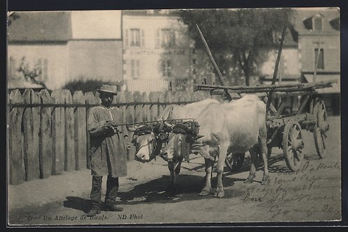 Carte postale attelage de - carte,