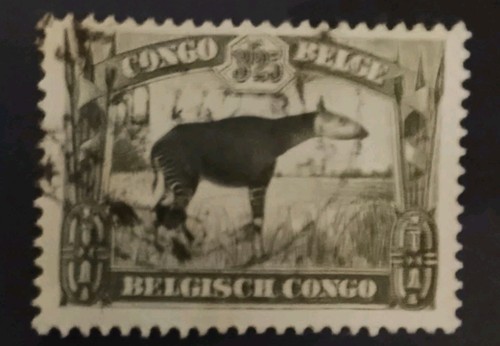 Congo belge okapi 1941 - congo,