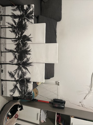 Lot cinq tableaux - , palmiers