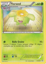 Floravol-Noir & Blanc- Dragons