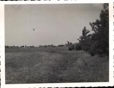 snapshot Polder près d'Amsterdam vue nature arbres vaches ferme prairie clôture 