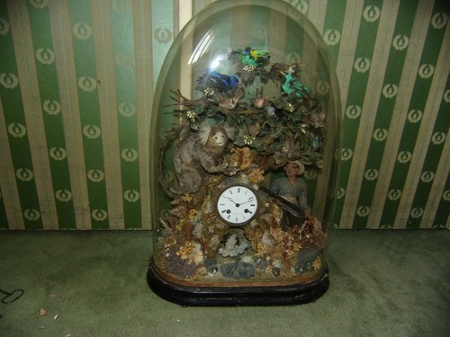 Pendule aux oiseaux exotiques - aux,