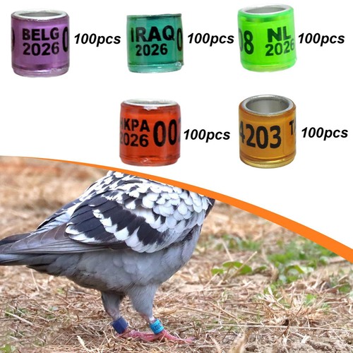 100 bagues identification en - 100,