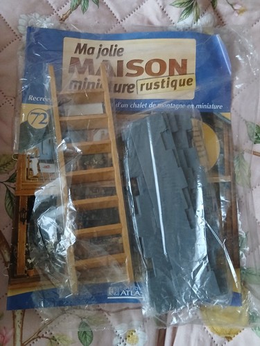 Collection maison poupée - maison,