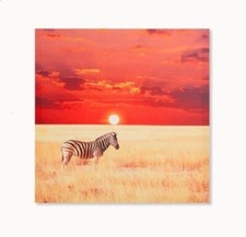 Cadre toile tableau Zèbre -