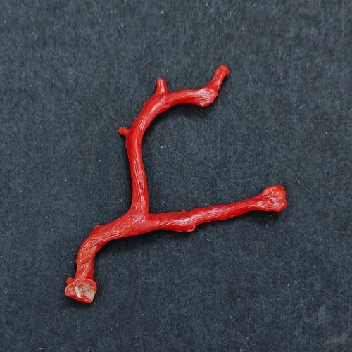 Pierre précieuse brute corail