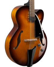 Guitare acoustique complète