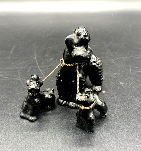Caniche noire avec chiots - , en