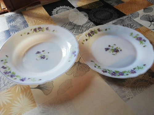 Arcopal myosotis violettes lot - arcopal,