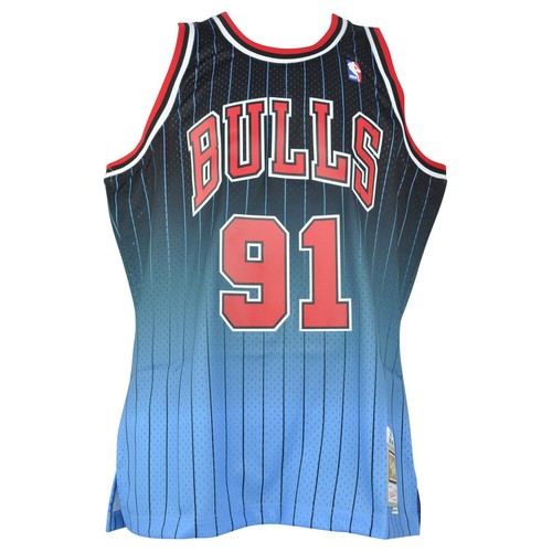 Maillot swingman fadeaway - maillot,