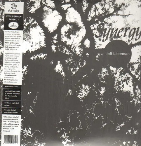 Mp3 jeff liberman synergy - liberman,