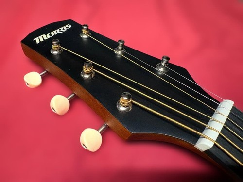 Guitare salon morris - guitare,