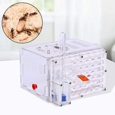 Nid de fourmis, fournitures