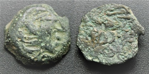 Senons bronze yllycci à - bronze,