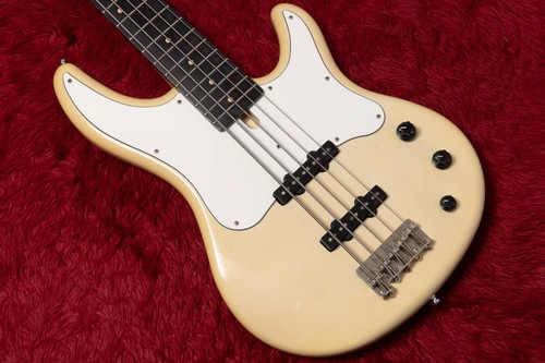 Electric bass guitar - electric, bb