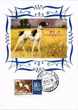 CPA AK Pointer DOGS (1388017)