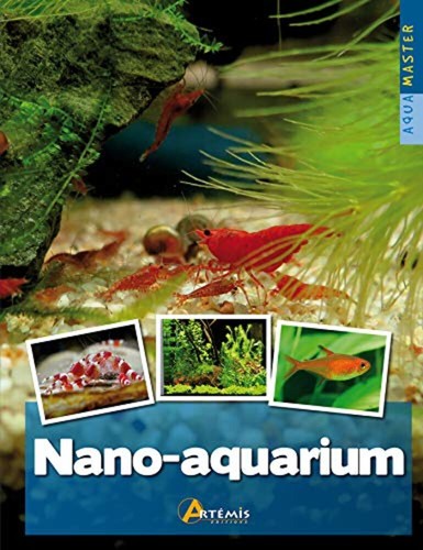 Nano aquarium maître allain - nano-aquarium, maître-allain