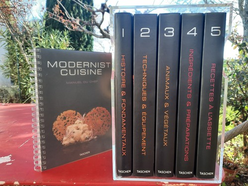 Modernist cuisine français - modernist,