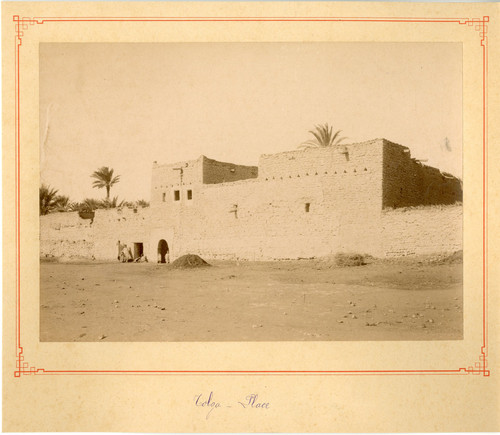 Algérie tolga - tolga, (biskra)